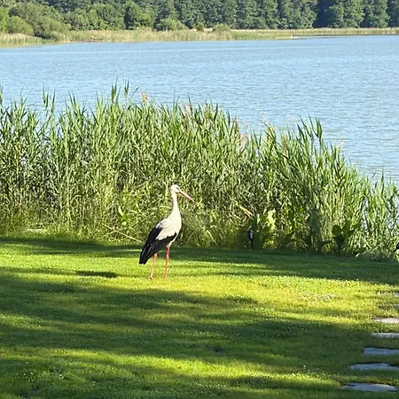 Mazury View Rusek Wielki